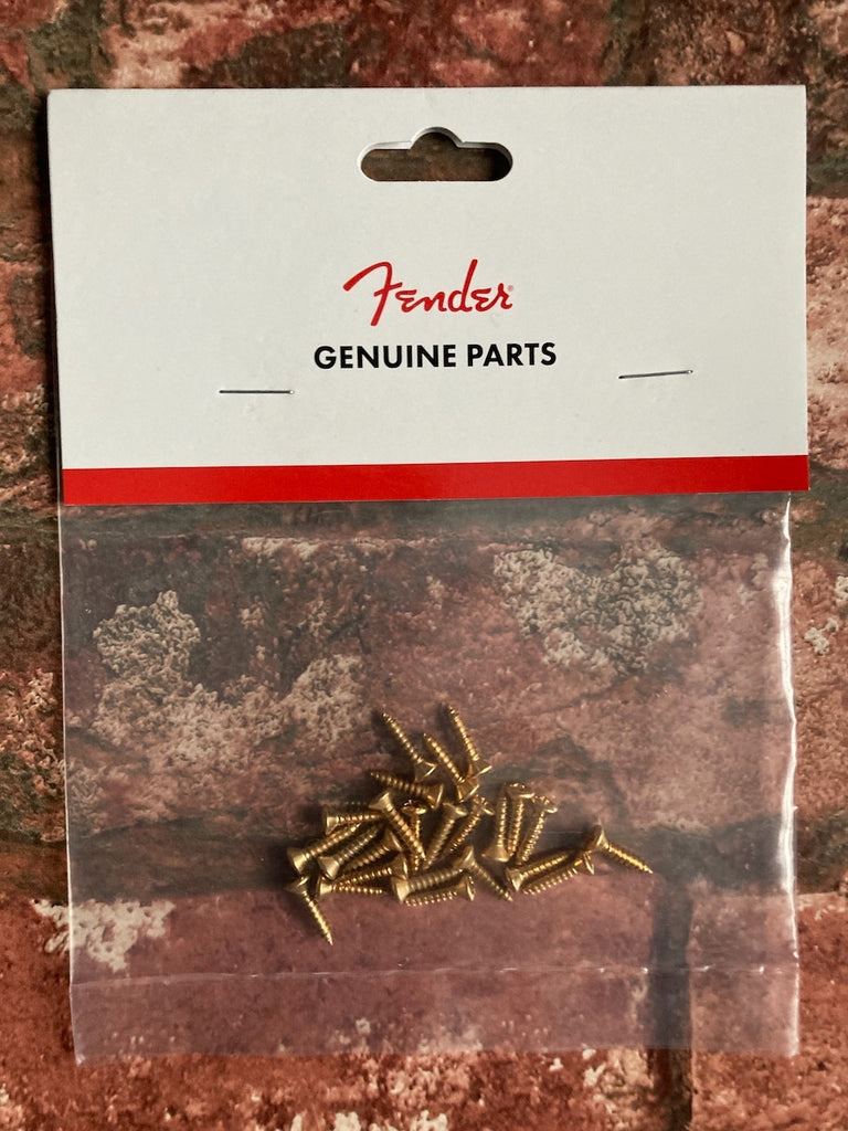 Fender Gold Pickguard / Scratchplate / Trem Cover / Control Plate Screws x 24