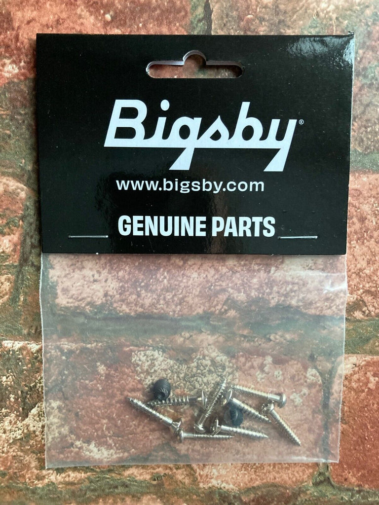 Bigsby Screw Pack in Steel- Genuine Bigsby Parts!